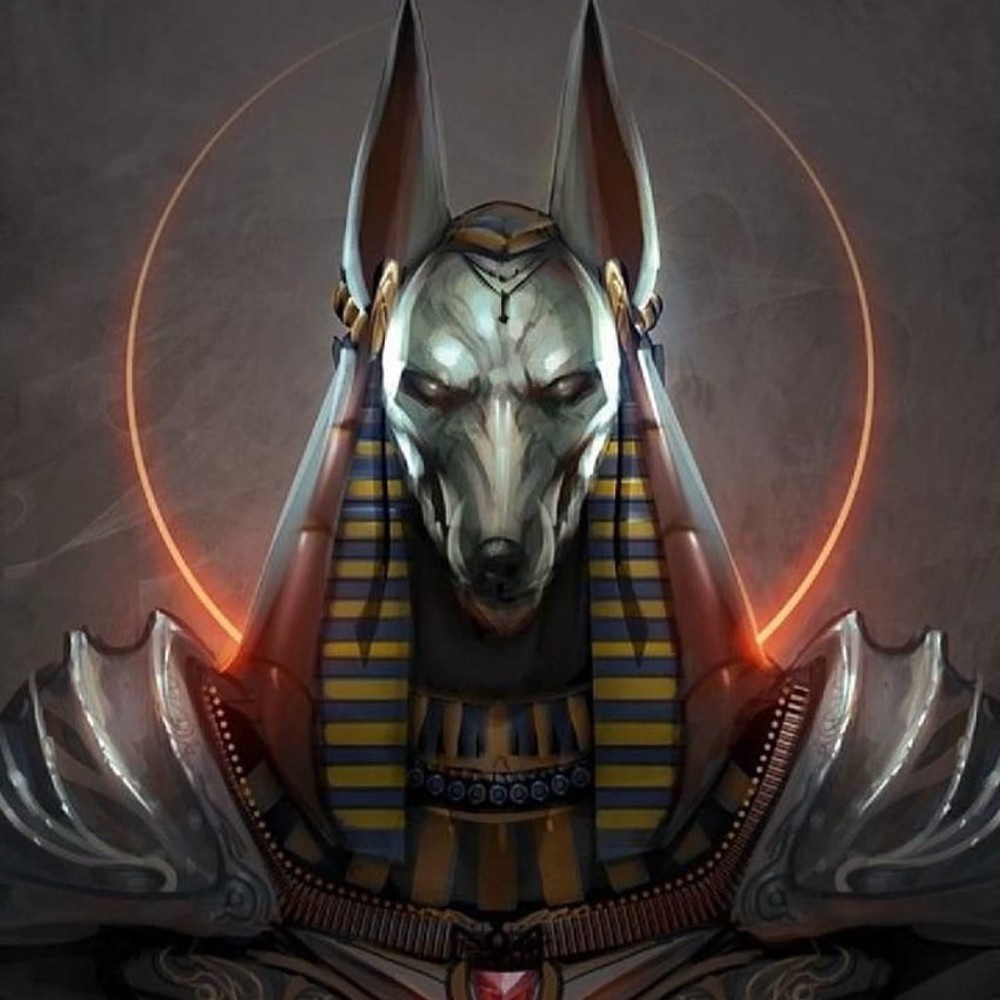 Meet your Posher, Kai